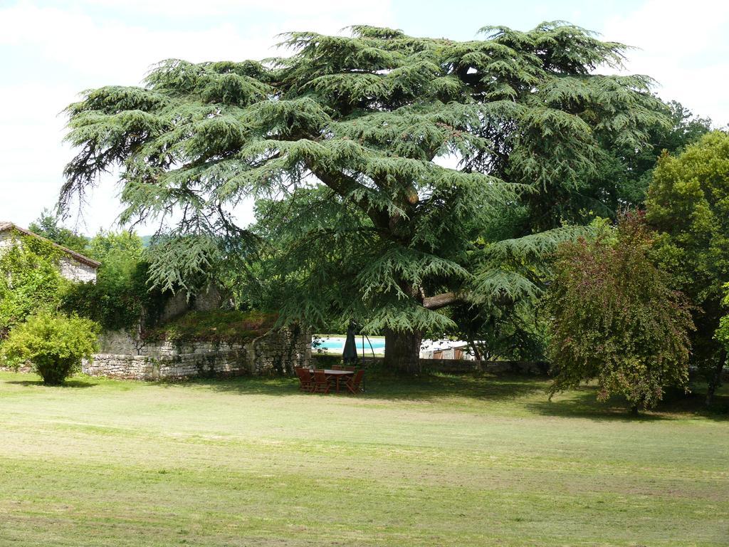 Domaine De Lamassas Bed & Breakfast Hautefage-la-Tour Dış mekan fotoğraf