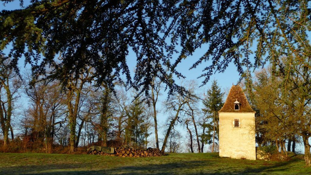 Domaine De Lamassas Bed & Breakfast Hautefage-la-Tour Dış mekan fotoğraf